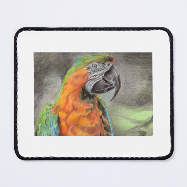 Item preview, Macaw designed and sold by Johnnys61.