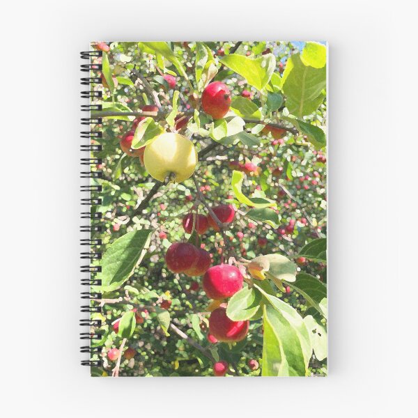 Item preview, apple orchard designed and sold by Greengardens36.