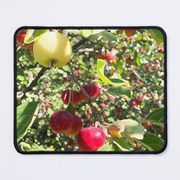 Item preview, apple orchard designed and sold by Greengardens36.