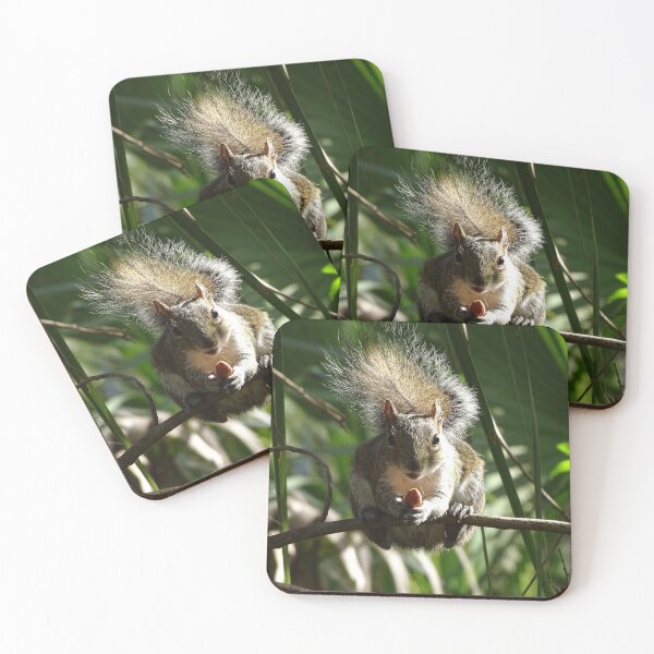 Item preview, Cute Squirrels #0005 designed and sold by Jeffrey Mask.