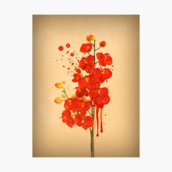 Sanguine Impression photo