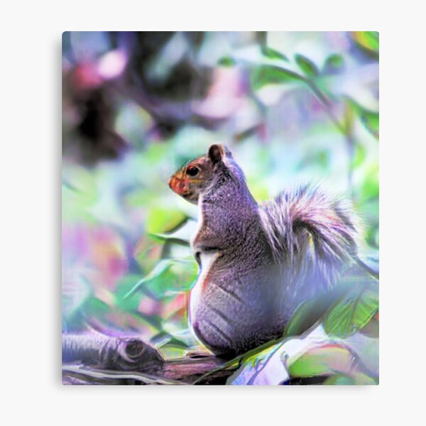 Item preview, SQUIRREL PAINTING designed and sold by BOLLA67.