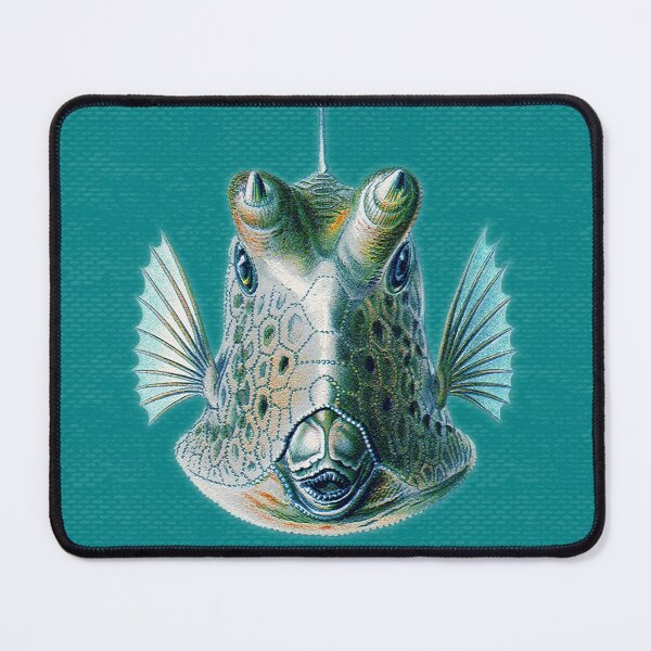 Item preview, Acquario Fish 01 designed and sold by Delinda Graphic Studio.