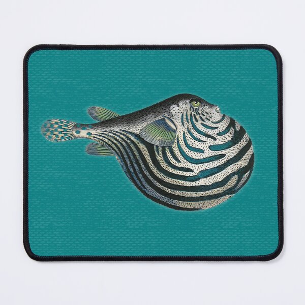 Item preview, Acquario Fish 13 designed and sold by Delinda Graphic Studio.