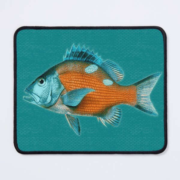 Item preview, Acquario Fish 03 designed and sold by Delinda Graphic Studio.