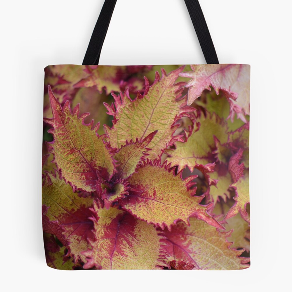 Vista previa del artículo con la obra «Bolsa estampada de tela», diseñado y vendido por Aritheeagle.