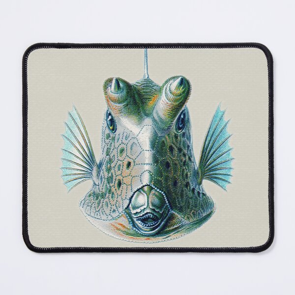 Item preview, Acquario Fish 09 designed and sold by Delinda Graphic Studio.