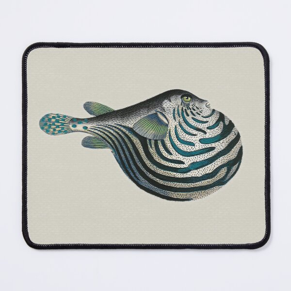 Item preview, Acquario Fish 11 designed and sold by Delinda Graphic Studio.