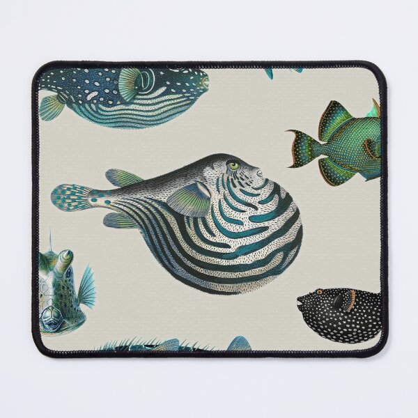 Item preview, Acquario Fish 02 designed and sold by Delinda Graphic Studio.