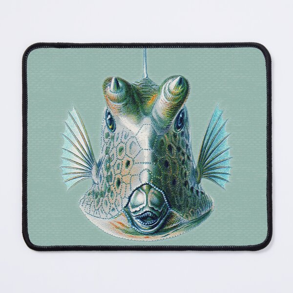 Item preview, Acquario Fish 20 designed and sold by Delinda Graphic Studio.