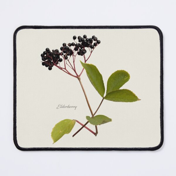 Item preview, Elderberry designed and sold by andrewroland.