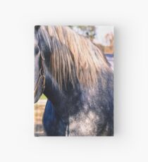 Equine Greeting Hardcover Journal