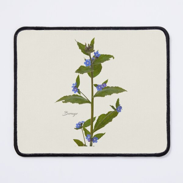 Item preview, Borage designed and sold by andrewroland.