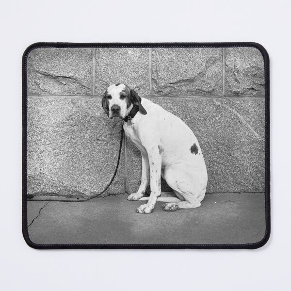 Item preview, Dog on a leash designed and sold by Night-parade.