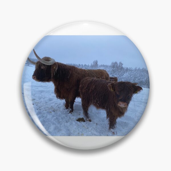 Artikelvorschau, Scottish Highland Cattle Cow and Calf in snow 2681 entworfen und verkauft von SaarelaHighland.