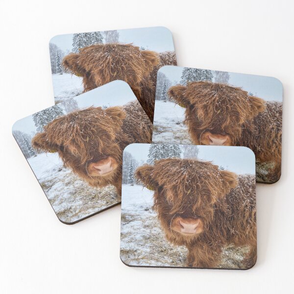 Item preview, Scottish Highland Cattle Calf in snow 2684 designed and sold by SaarelaHighland.