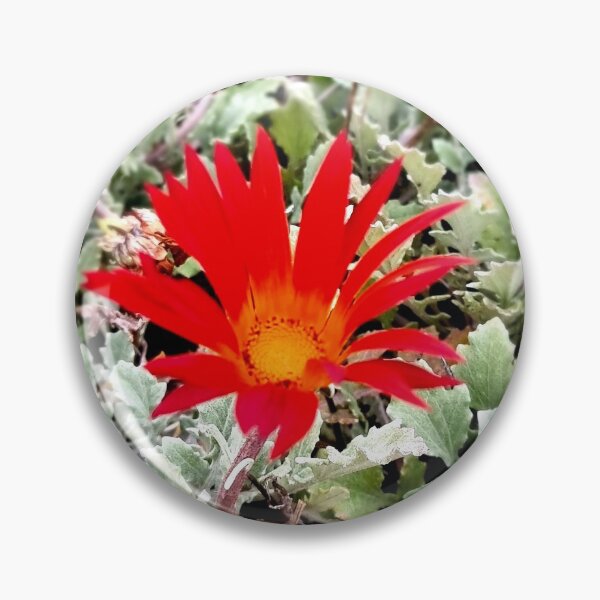 Item preview, RED DAISY  designed and sold by Steffi August.