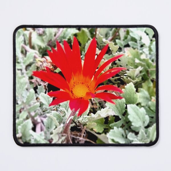 Item preview, RED DAISY designed and sold by Steffi August.