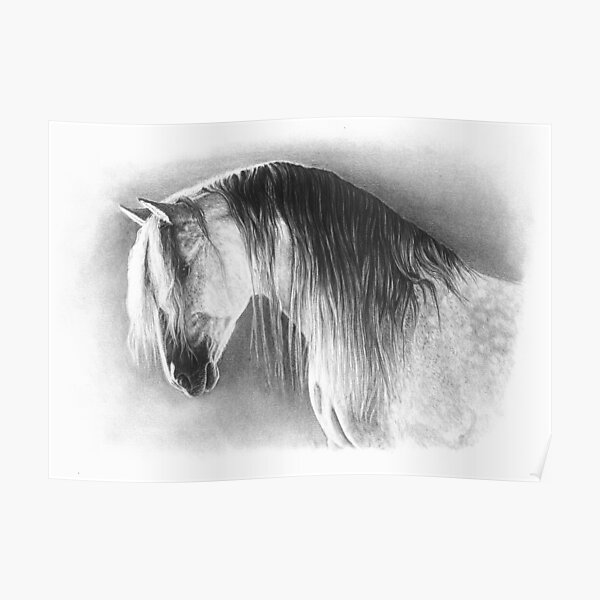 State of Grace - Horse Poster