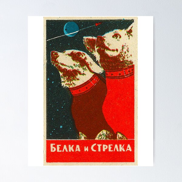 Item preview, USSR Space Dogs Laika designed and sold by iconikit.