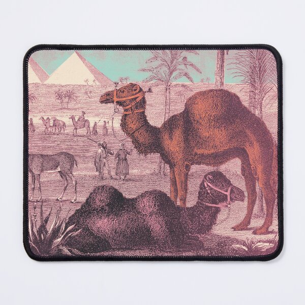 Item preview, vintage camels, pyramids, adventures in Egypt designed and sold by Mauswohn.