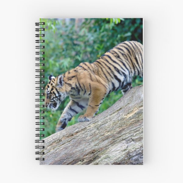 Item preview, Sumatran Tiger Cub designed and sold by Sheila Smith.