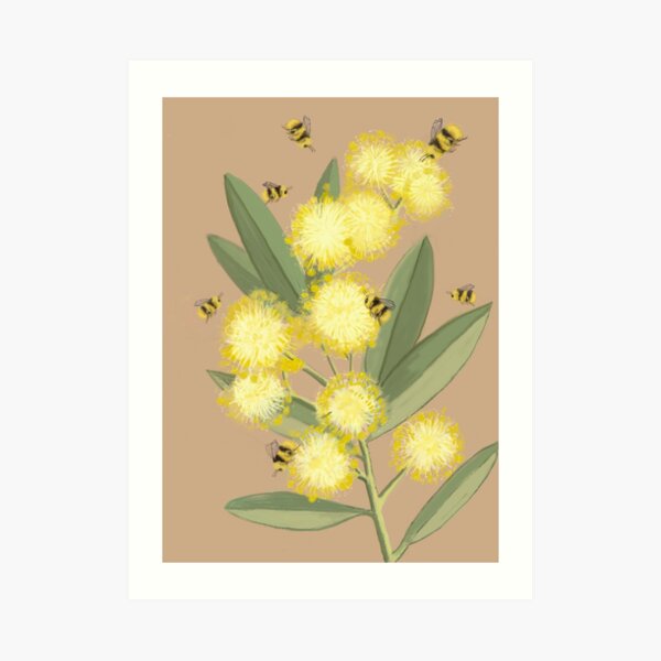 Wattle it Bee Art Print
