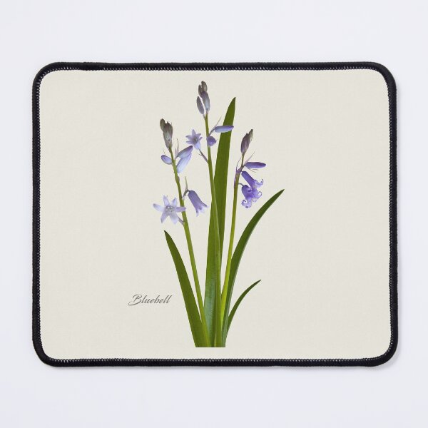 Item preview, Bluebell designed and sold by andrewroland.