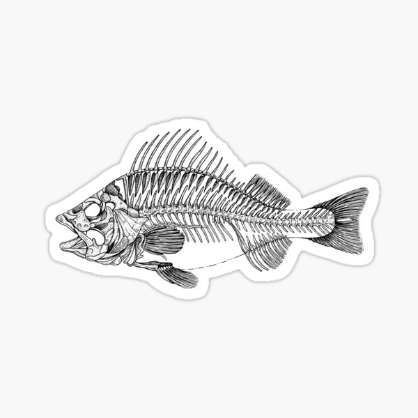 Fish Skeleton Sticker