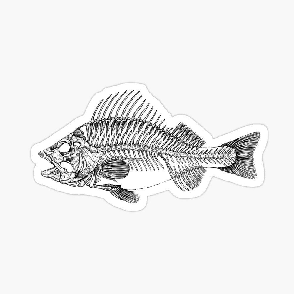 Vintage image fish skeleton Stock Photo by ©unorobus.gmail.com 127436648