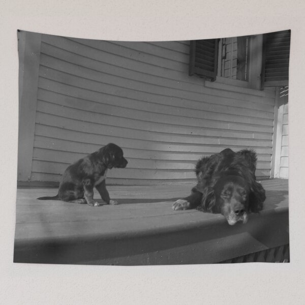 Item preview, Dog and puppy on porch designed and sold by Night-parade.
