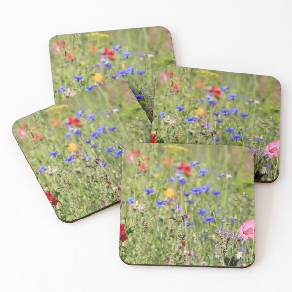 Artikelvorschau, Sommerblumen, Blumenwiese, bunt entworfen und verkauft von Torsten  Krüger.