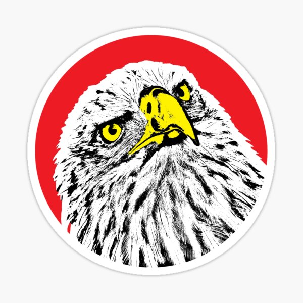 Bald Eagle Stencil Sticker