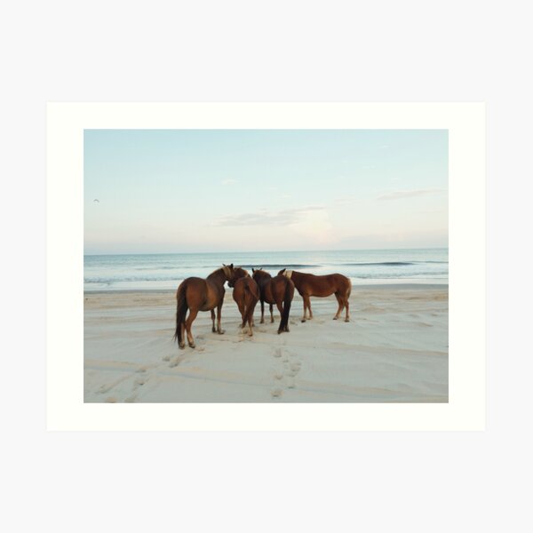 Coastal Horse Meeting Art Print