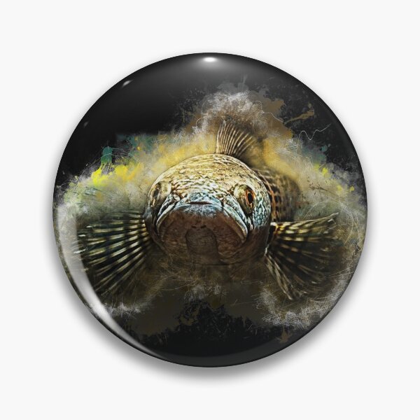 Item preview, Goldspot Snakehead - Channa aurantimaculata designed and sold by AquariumLutter.
