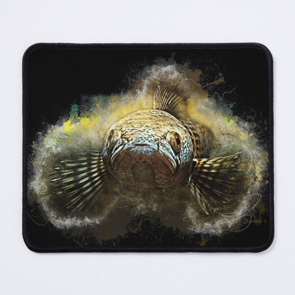 Item preview, Goldspot Snakehead - Channa aurantimaculata designed and sold by AquariumLutter.