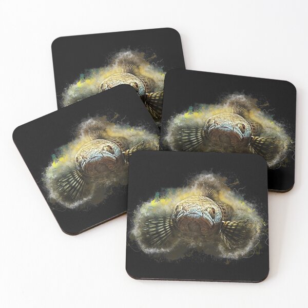 Item preview, Goldspot Snakehead - Channa aurantimaculata designed and sold by AquariumLutter.