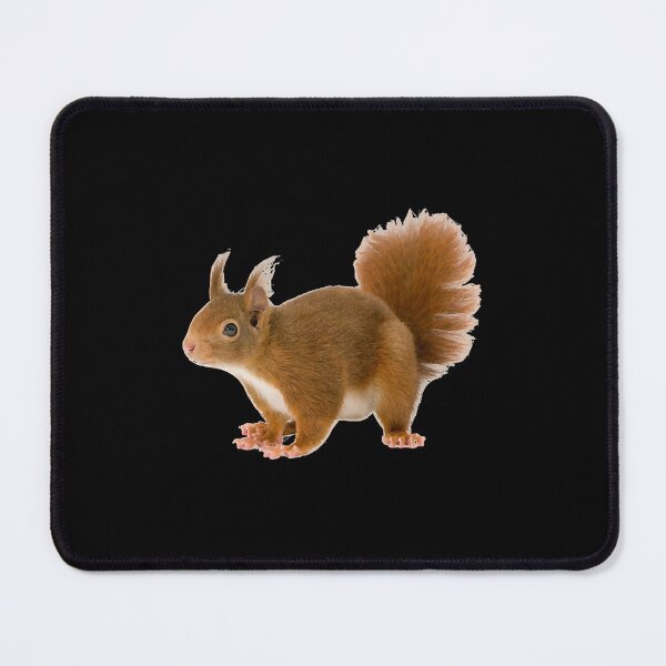 Item preview, SQUIRREL 6  designed and sold by TejSlaboda86.