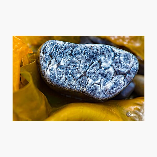 Gem from deep earth Photographic Print