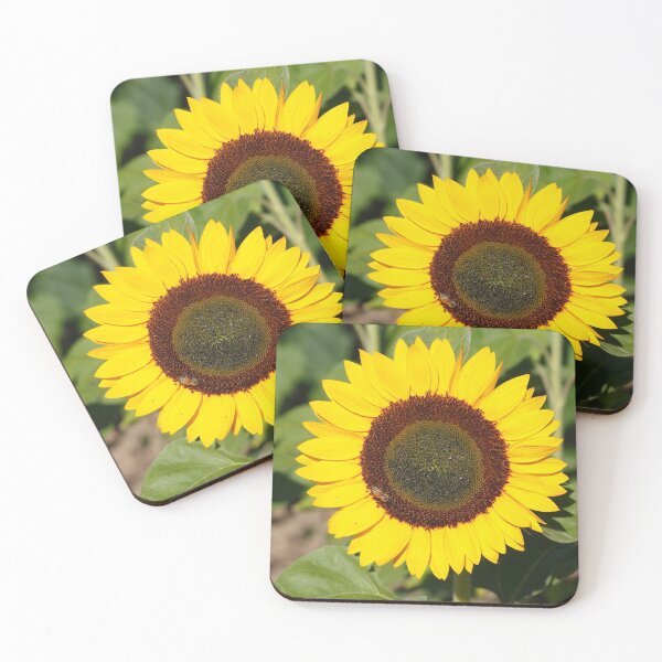 Item preview, Sunflower, sunflower, (Helianthus annuus) designed and sold by Torsten  Krüger.