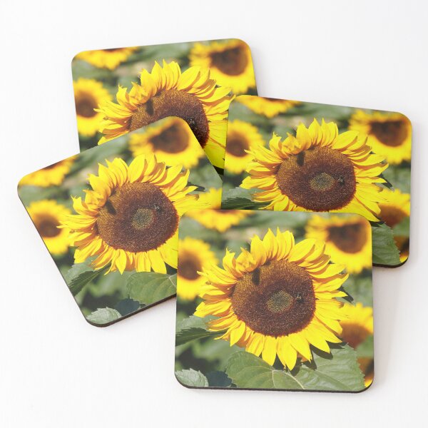 Item preview, Sunflower, sunflower, (Helianthus annuus) designed and sold by Torsten  Krüger.