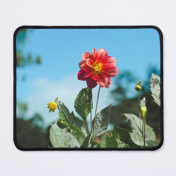 Item preview, A Beautiful Red flower designed and sold by Island Canvas.