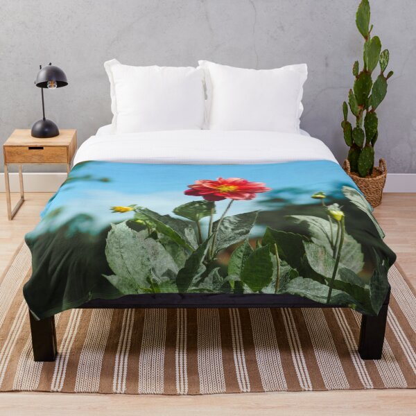 Aperçu de l'œuvre Une belle fleur rouge créée et vendue par Island Canvas.