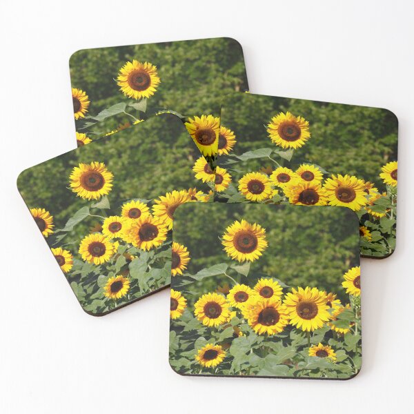 Item preview, Sunflower, sunflower, (Helianthus annuus) designed and sold by Torsten  Krüger.
