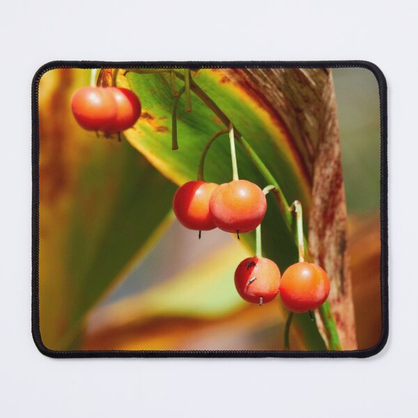 Item preview, The orange berries of the Lily of the Valley designed and sold by Jouko Lehto Photography.