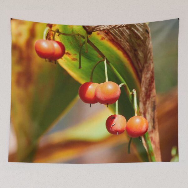 Item preview, The orange berries of the Lily of the Valley designed and sold by Jouko Lehto Photography.