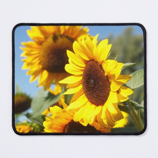 Item preview, Sunflower, sunflower, (Helianthus annuus) designed and sold by Torsten Krüger.