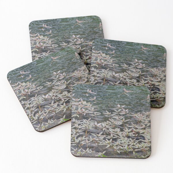 Item preview, Leaves on the Water designed and sold by Yair Karelic.
