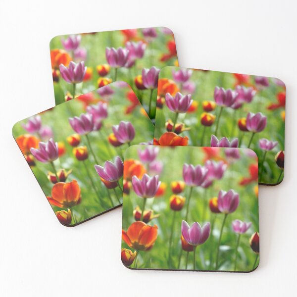 Item preview, (Tulipa); Tulip; Tulips; Flower; Flower; colorful, tulip blossom designed and sold by Torsten  Krüger.