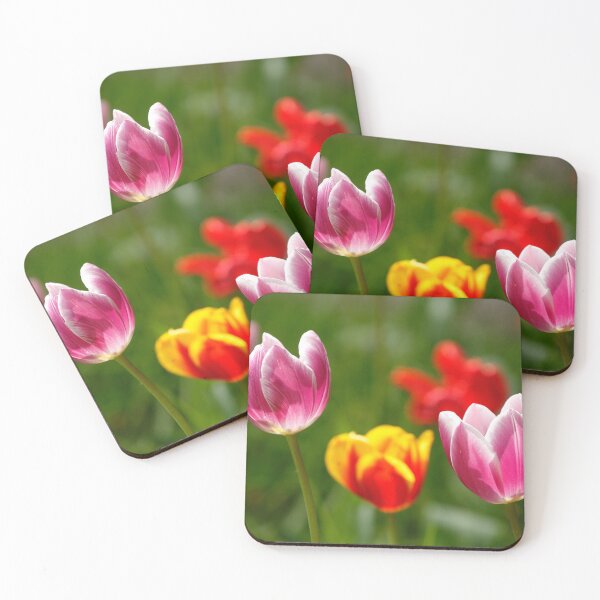 Item preview, (Tulipa); Tulip; Tulips; Flower; Flower; colorful, tulip blossom designed and sold by Torsten  Krüger.